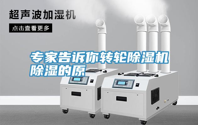 专家告诉你转轮小黄片直播视频除湿的原
