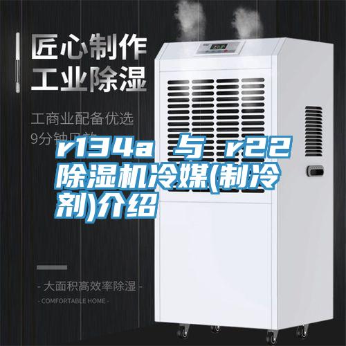r134a 与 r22小黄片直播视频冷媒(制冷剂)介绍