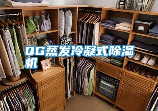 QG蒸发冷凝式小黄片直播视频