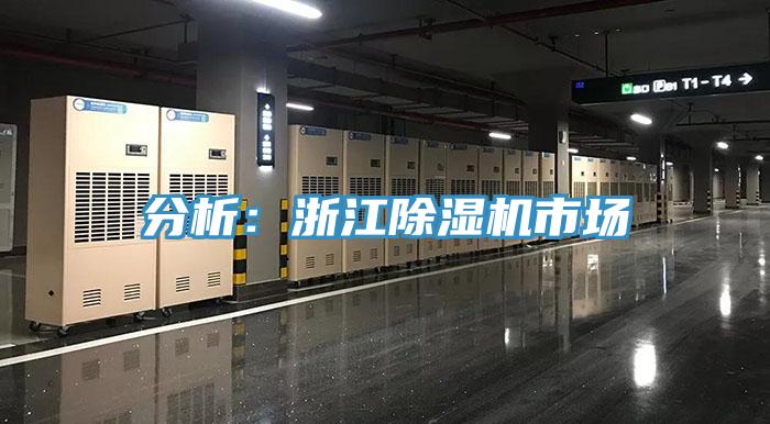 分析：浙江小黄片直播视频市场