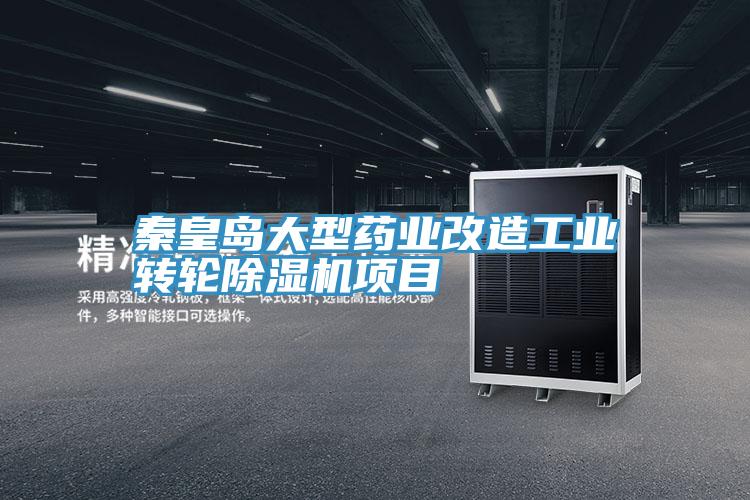 秦皇岛大型药业改造工业转轮小黄片直播视频项目