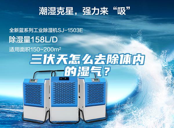 三伏天怎么去除体内的湿气？
