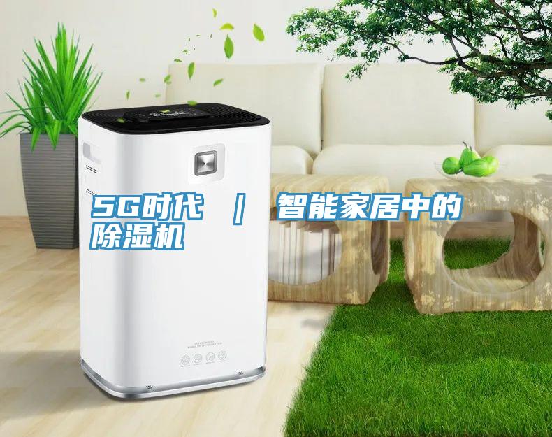 5G时代 ｜ 智能家居中的小黄片直播视频