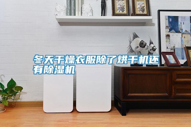 冬天干燥衣服除了烘干机还有小黄片直播视频