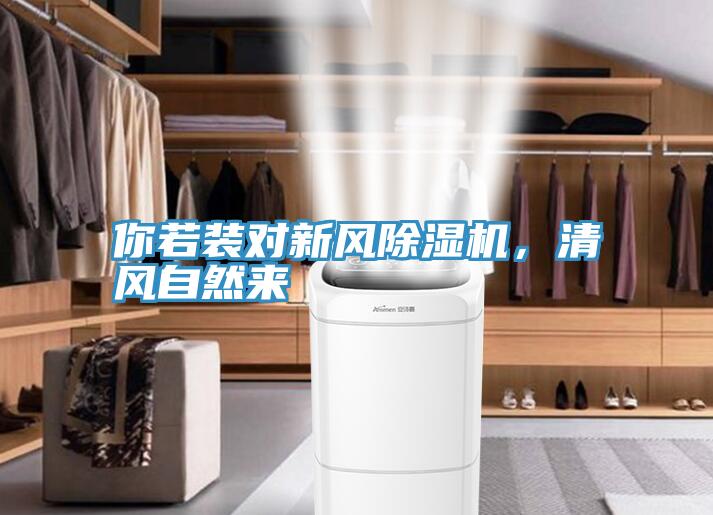 你若装对新风小黄片直播视频，清风自然来