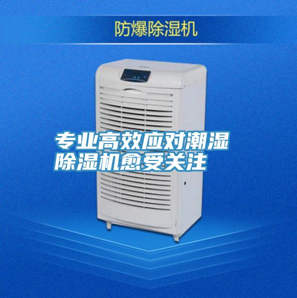 专业高效应对潮湿 小黄片直播视频愈受关注