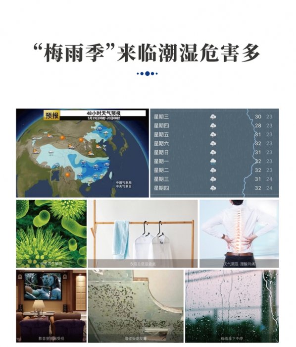 分析转轮小黄片直播视频