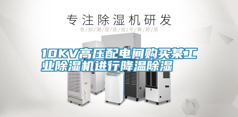 10KV高压配电间购买某工业小黄片直播视频进行降温除湿