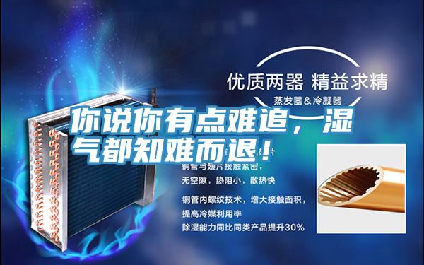 你说你有点难追，湿气都知难而退！