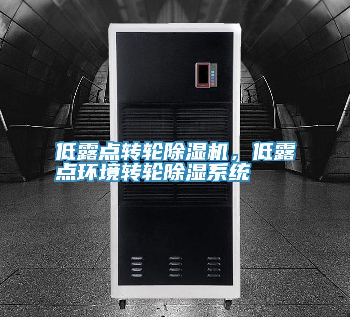 低露点转轮小黄片直播视频，低露点环境转轮除湿系统