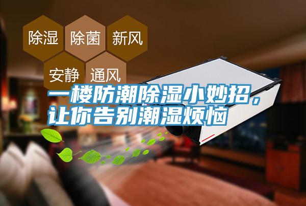 一楼防潮除湿小妙招，让你告别潮湿烦恼