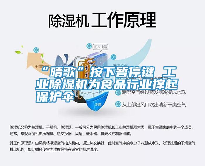 “晴歌”按下暂停键 工业小黄片直播视频为食品行业撑起保护伞