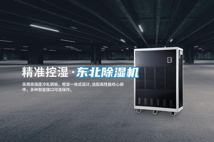 东北小黄片直播视频