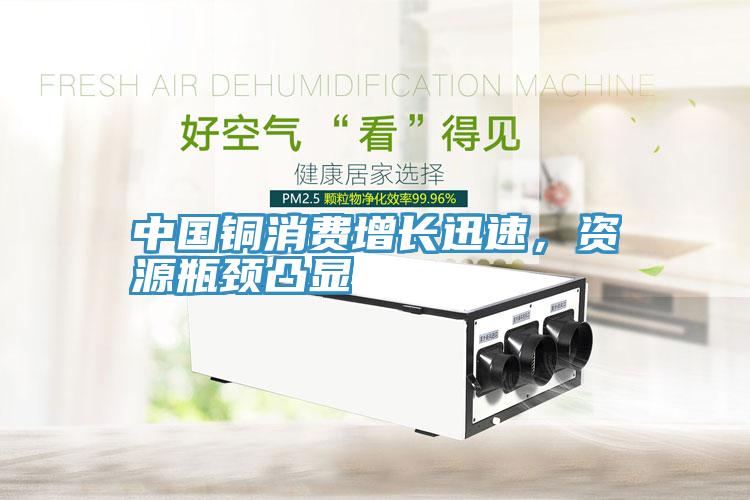 中国铜消费增长迅速，资源瓶颈凸显