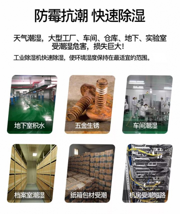 中药材干燥用耐高温小黄片直播视频