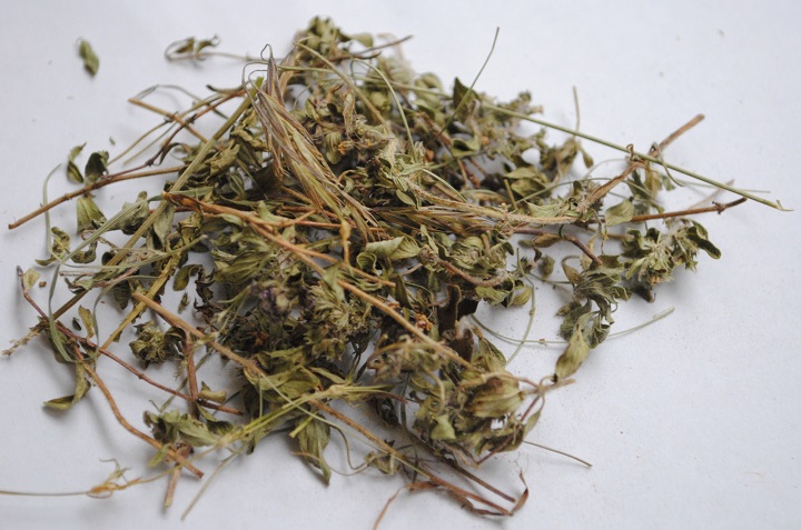 午夜小黄片APP烘干机