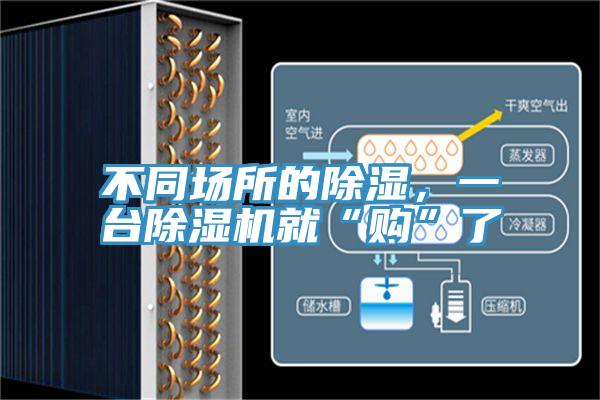 不同场所的除湿，一台小黄片直播视频就“购”了