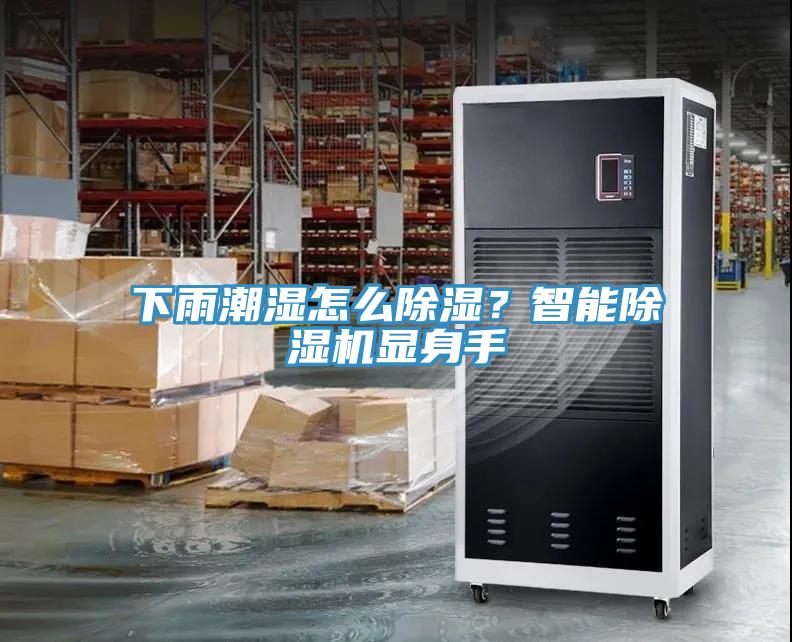 下雨潮湿怎么除湿？智能小黄片直播视频显身手