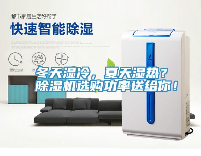 冬天湿冷，夏天湿热？小黄片直播视频选购功率送给你！