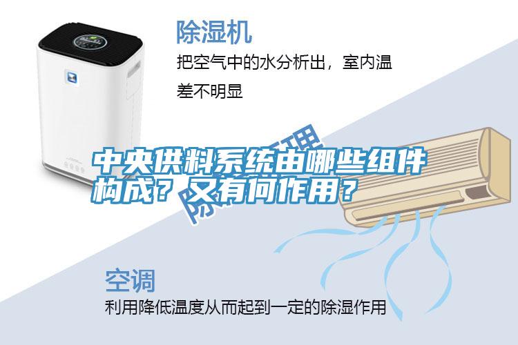 中央供料系统由哪些组件构成？又有何作用？