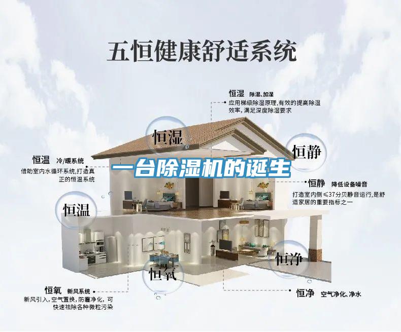 一台小黄片直播视频的诞生