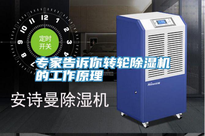 专家告诉你转轮小黄片直播视频的工作原理