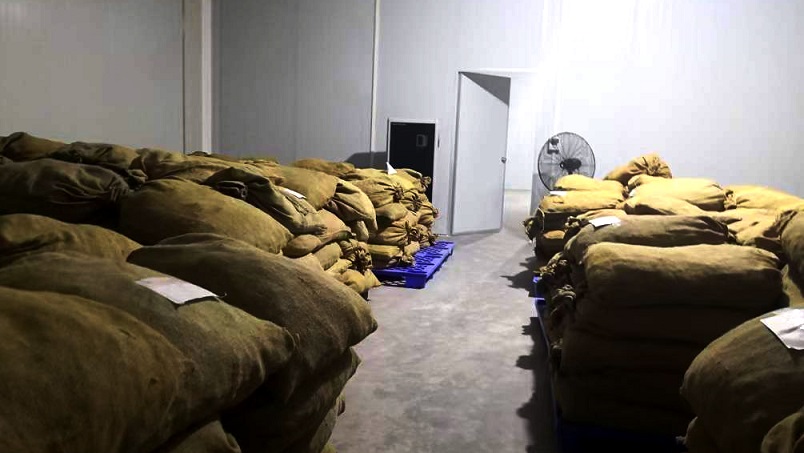 仓库小黄片直播视频在陈皮储存过程中的应用