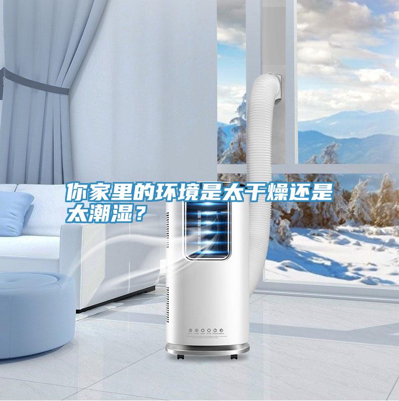 你家里的环境是太干燥还是太潮湿？