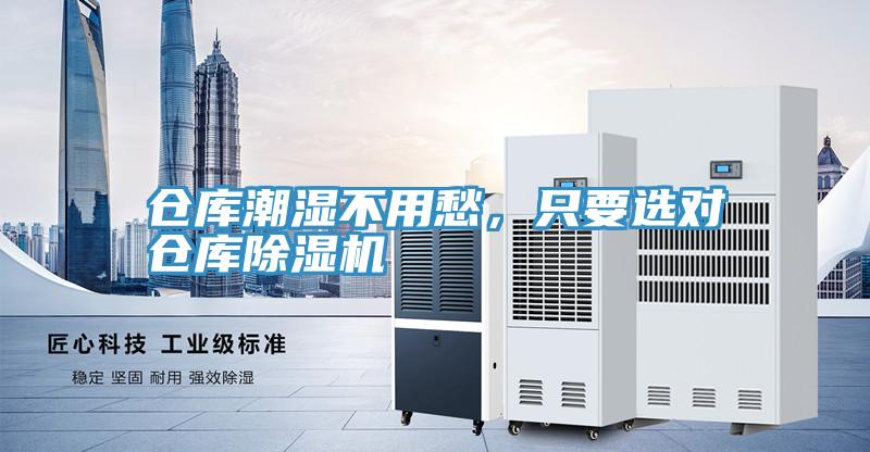 仓库潮湿不用愁，只要选对仓库小黄片直播视频