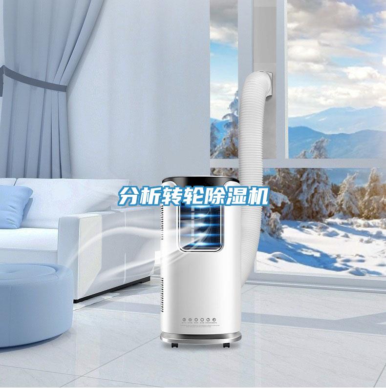 分析转轮小黄片直播视频