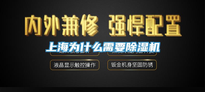 上海为什么需要小黄片直播视频
