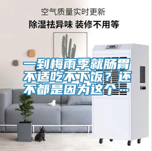一到梅雨季就肠胃不适吃不下饭？还不都是因为这个…
