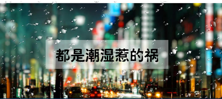防潮小黄片直播视频