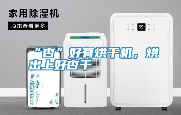 “杏”好有烘干机，烘出上好杏干