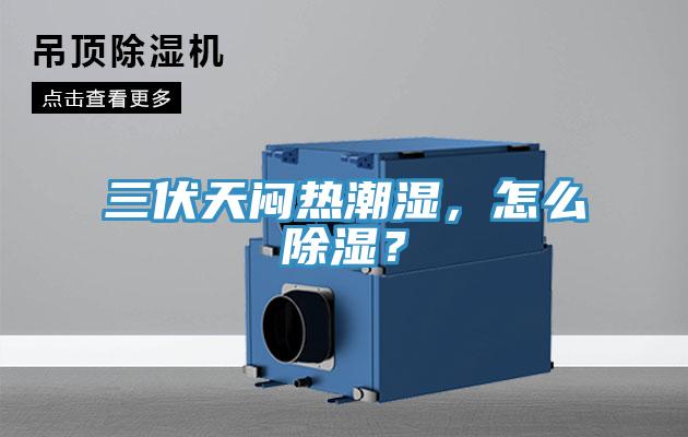 三伏天闷热潮湿，怎么除湿？