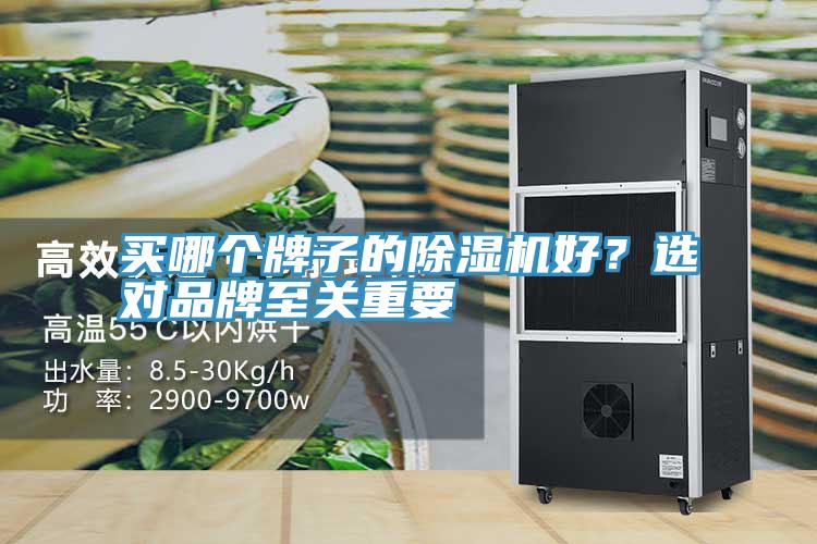 买哪个牌子的小黄片直播视频好？选对品牌至关重要