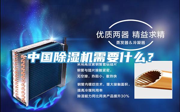 中国小黄片直播视频需要什么？
