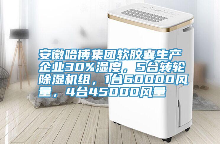 安徽哈博集团软胶囊生产企业30%湿度，5台转轮小黄片直播视频组，1台60000风量，4台45000风量