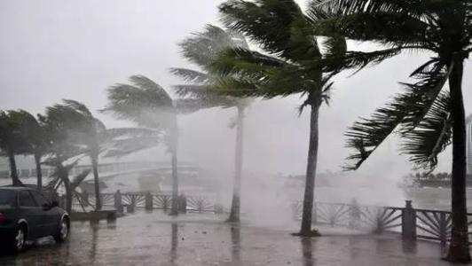 8月台风雨即将来，小黄片直播视频还得用起来