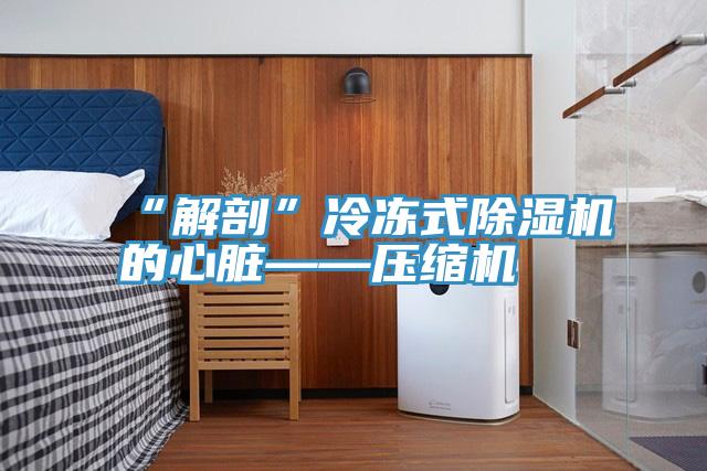 “解剖”冷冻式小黄片直播视频的心脏——压缩机