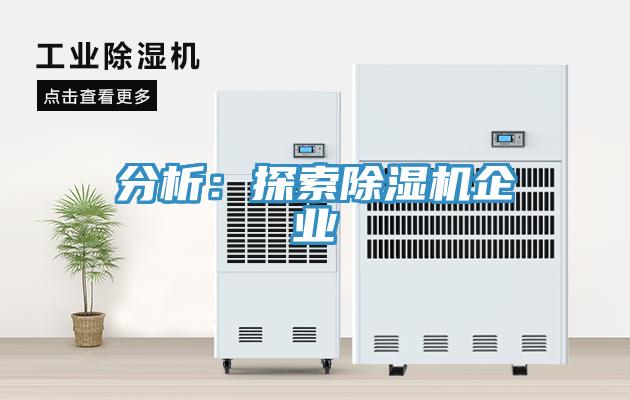 分析：探索小黄片直播视频企业