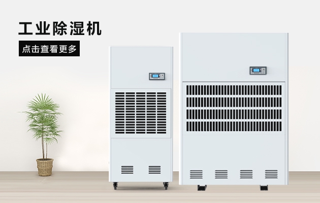 三八节送妈妈的礼物，选这款午夜小黄片APP除湿器就对了