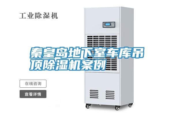 秦皇岛地下室车库吊顶小黄片直播视频案例