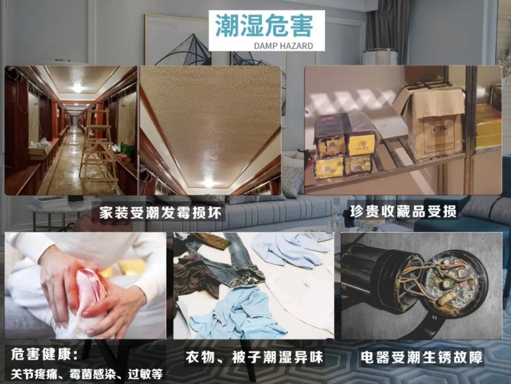 小黄片直播视频