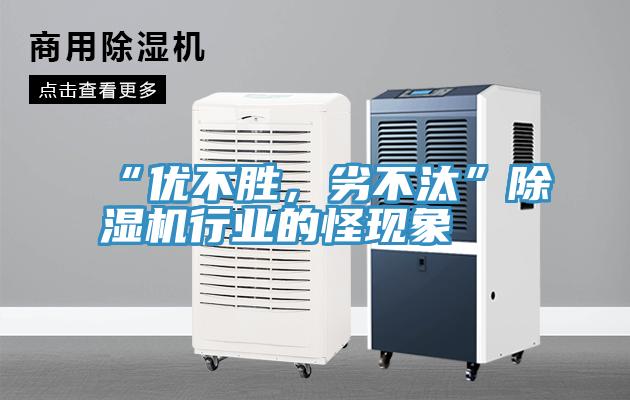 “优不胜，劣不汰”小黄片直播视频行业的怪现象
