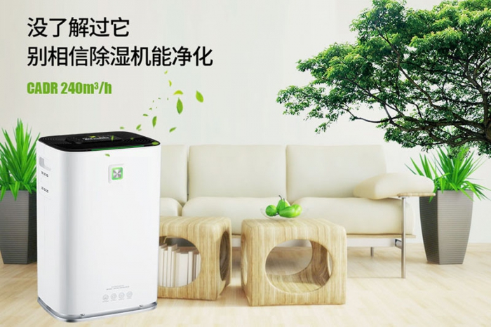 一到回南天狗狗就感冒+皮肤病，怎么办？