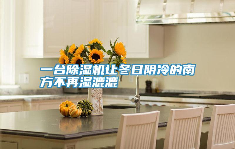 一台小黄片直播视频让冬日阴冷的南方不再湿漉漉