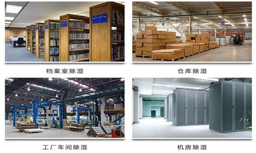 为什么竹笋烘干房需要小黄片直播视频？