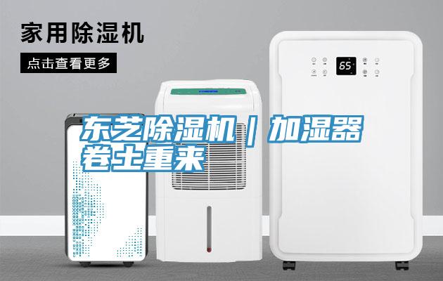 东芝小黄片直播视频｜加湿器卷土重来