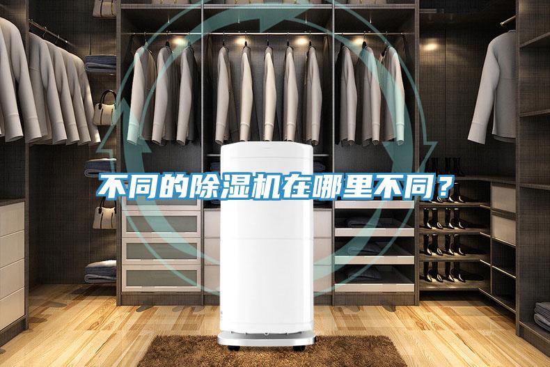 不同的小黄片直播视频在哪里不同？